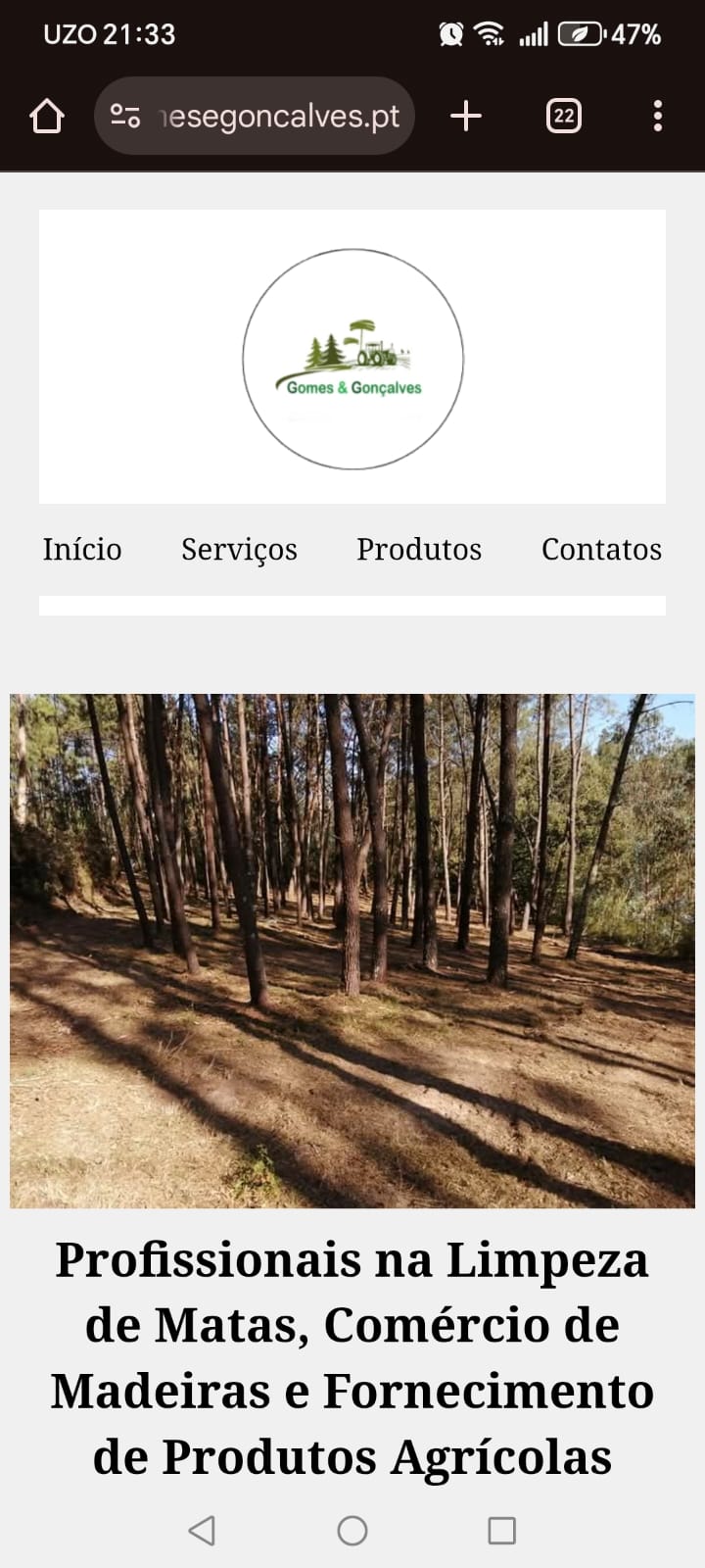 versão mobile do site